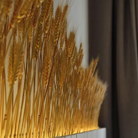 M Soleil - Centre Saint Roch Hotel 4*