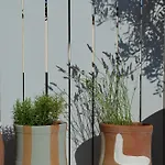 M Soleil - Centre Saint Roch 4*