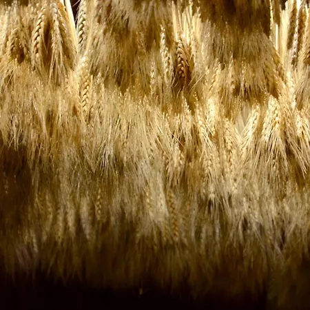 M Soleil - Centre Saint Roch Hotel