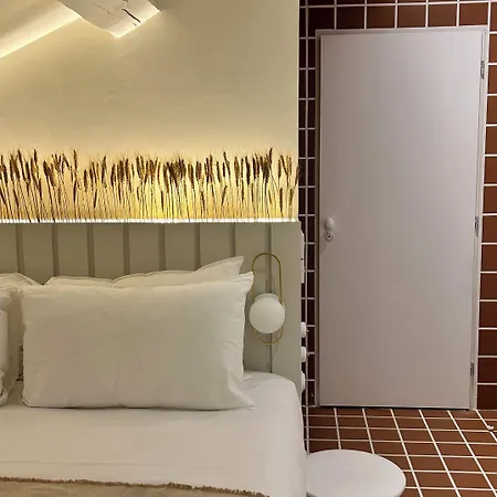 M Soleil - Centre Saint Roch