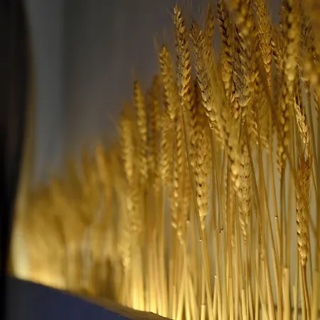 M Soleil - Centre Saint Roch 4* Montpellier