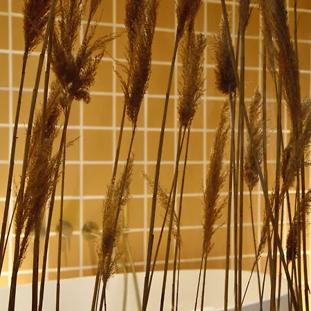 Hotel M Soleil - Centre Saint Roch 4*