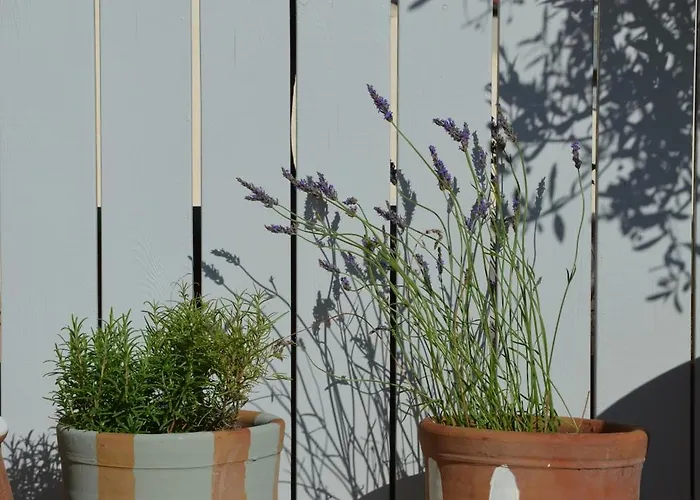 M Soleil - Centre Saint Roch 4*