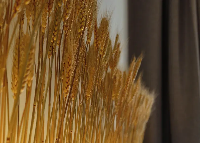 M Soleil - Centre Saint Roch Hotel 4*