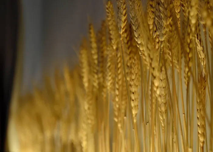 M Soleil - Centre Saint Roch 4* Montpellier