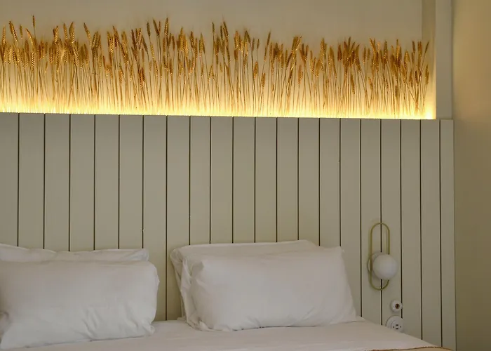 M Soleil - Centre Saint Roch Hotel